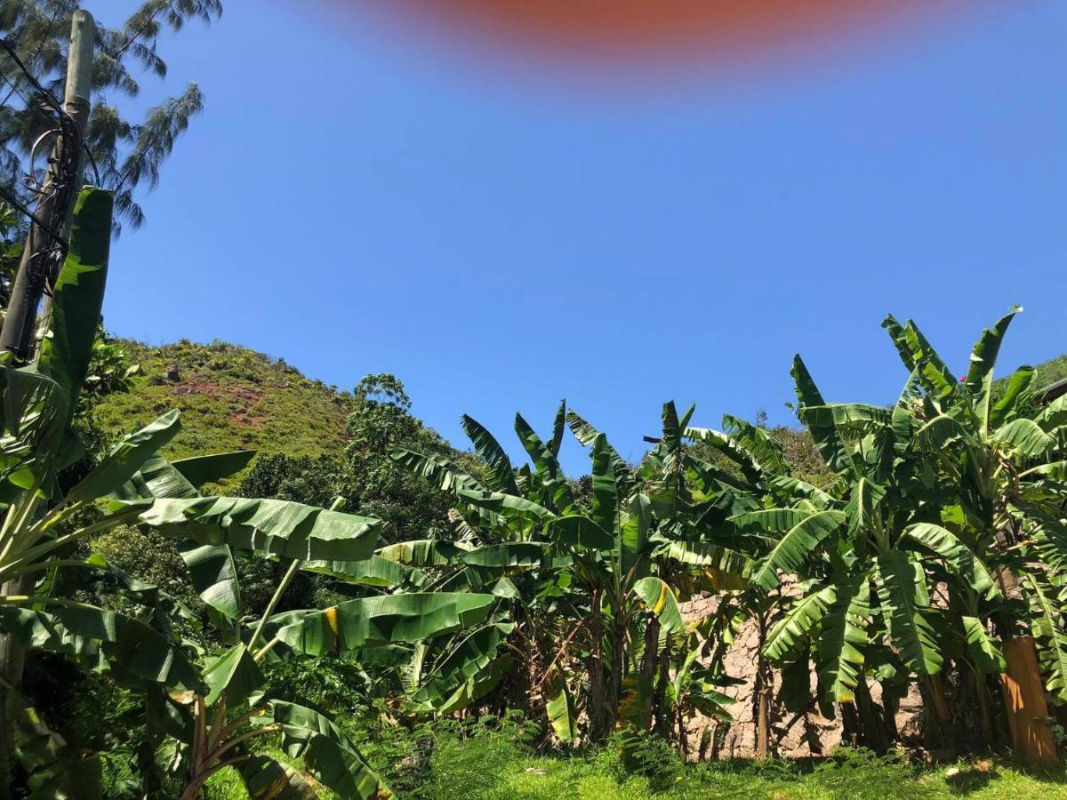 Mirella Villa Anse Volbert Village 외부 사진